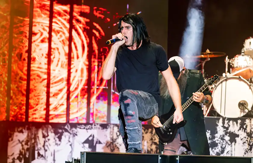Audience at a Three Days Grace concert